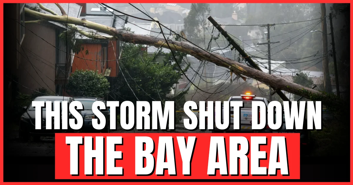 This Storm Shut Down the Bay Area